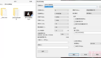 [自行打包] 国风vam 梦中女神降临 [1v+1.08g][百度盘]