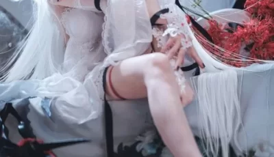 [转载搬运] 阿包也是兔娘 - 无期迷途 可可莉克  29P-274M  【百度云】 [29P+274M][百度盘]