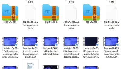 [自行打包] 猎奇向 Hentaied SiteRip 2024合集 [11v+36G][百度盘]