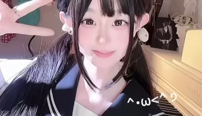 [自行打包] 【B站UP主 lewdpuppy】 [30V+6G][百度盘]