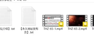[自行打包] THZ-65 giga原档高清6000kbps [3v+3.93G][百度盘]