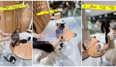 [转载搬运] 兄妹乱伦 大神破处luo莉小表妹后续3-沙发上内射掰逼 [1V+242MB][bt种子]
