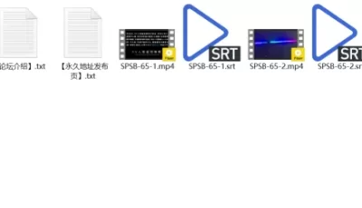 [自行打包] SPSB-65 giga原档高清6000kbps [4v+7.16G][百度盘]