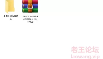 [自行打包] TSMCB24大佬的陆雪琪 [1+398M][百度盘]