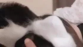 [转载搬运] ❤️擦边短剧❤️飞上蓝天：被带绿帽后觉醒，专艹他人妻 [100V+3G][百度盘]
