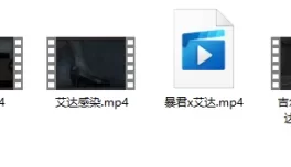 [转载搬运] 艾达王合集 [27V+20P+8.71G][百度盘]