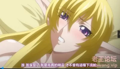 <b style='color: red;'>[已失效] </b>[自行打包] エルフ姫ニィーナ 1-3 [1+512m][百度盘]