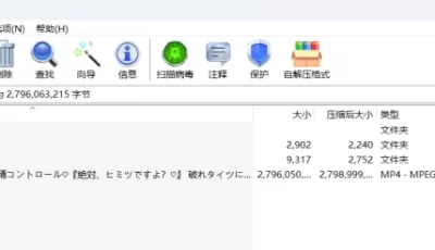 <b style='color: red;'>[已失效] </b>[自行打包] Aliceholic 13 ありすほりっく 生盐诺亚 [1v+2.74G][百度盘]
