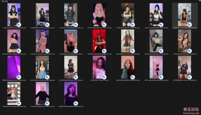 [自行打包] 【自购】老王首发noodledude的“IFW E-Girls PMV”素材库 [NV+52G][百度盘]