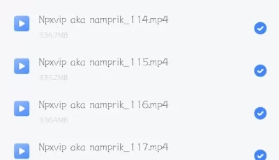 [转载搬运] 【新人第一帖】Namprik---喷水，肛交，巨乳我现在能找到最全的大合集 [视频：140v，图片：140p+24.9G][磁力链接]