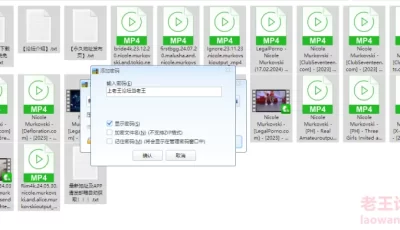 <b style='color: red;'>[已失效] </b>[自行打包] Nicole Murkovski补充版合集 [19+5G][百度盘]