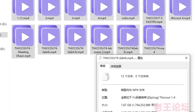 [转载搬运] 【淫母】儿子趴在妈妈屁股上舔骚屄玩69 “ZipLing”Thiccout 1-4 [13v+1.67G][百度盘]