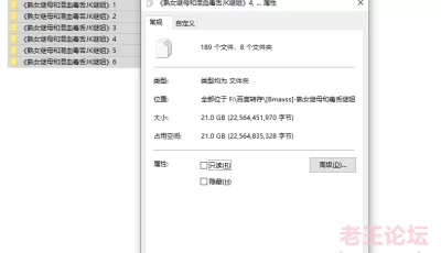 [转载搬运] 【淫母】[Bmaxss]冷艳毒辣性感熟女继母和混血毒舌JK继姐1-6全 [6v，166p+21G][百度盘]