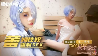 [自行打包] 【小二先生】我的小奴隶，coser蕾姆萝莉被强制sex [1v+3.2g][百度盘]