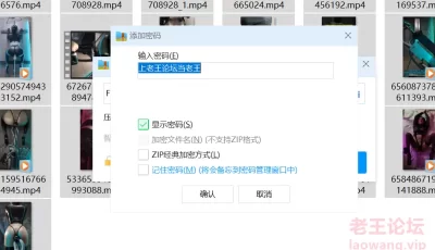 [自行打包] 1币白嫖，全网首发，伪娘Freyamousy合集 [36V+4.3G][百度盘]
