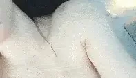 [转载搬运] 【顶级新人绿播女神下海 】高冷御姐 明星颜值秒杀网红 [2+3839MB][磁力链接]