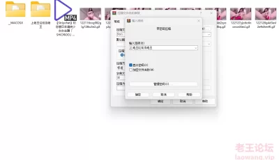 [自行打包] 初恋感日本清纯少女女主播「SHiORi0O」红色兔女郎双龙入穴... [1V+881][百度盘]