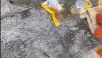 [转载搬运] 野战 跟朋友出来爬山郊游烧烤 吃饱喝足兴致来了 跟妹子... [1+1087MB][磁力链接]