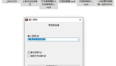 [自行打包] 打王者被操 [4V+1.3G][百度盘]