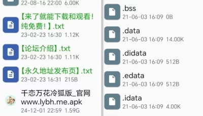 千恋万花安卓直装+魔女的夜宴krkr，pc