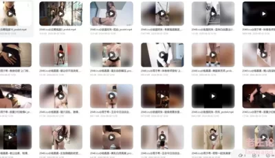 [转载搬运] 秀人模特私拍合集 [223v+506g][磁力链接]