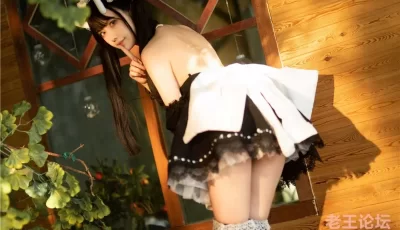 [转载搬运] Shika小鹿鹿 - 能代女仆 [44P+192M][百度盘]