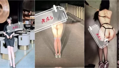 [自行打包] 字母圈调教大神『老左S』圈养调教各种妹子，野外全裸露... [29v+121p+553m][百度盘]