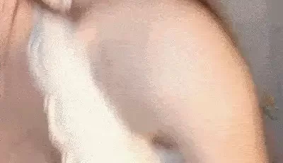 [转载搬运] 绝对极品！爆炸身材美乳！双马尾眼镜美少女，两个柔软... [2+1004MB][磁力链接]