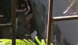 [转载搬运] 吃瓜！阳台偷窥吵架的夫妻突然衣服脱了打起来了 [1+100m][百度盘]