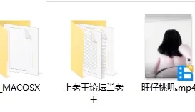 [自行打包] 旺仔桃叽裸舞 [1V+888M][bt种子]