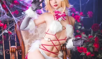 [转载搬运] 二佐Nisa合集打包142套 [142+36.2G][百度盘]