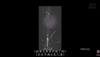 [转载搬运] 京香julia中文字幕高清 [4v+23g][磁力链接]
