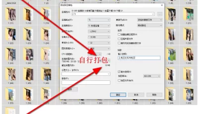 [自行打包] INS国内软妹子精选美女图集合【5000P+1G】【百度网盘】 [5000P+1G][百度盘]