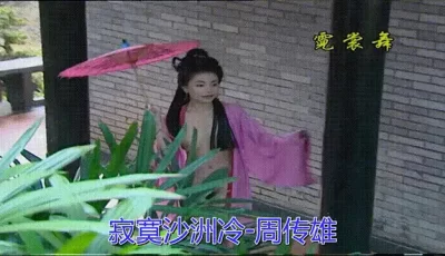 [自行打包] 自制MV---寂寞沙洲冷 [1V+151M][百度盘]