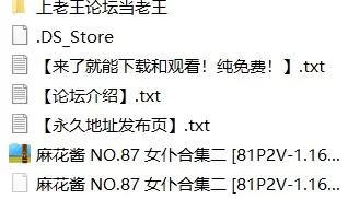 [自行打包] 麻花酱 NO.87 女仆合集二 [81P2V+1.16GB][百度盘]