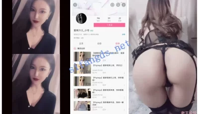 [转载搬运] 【B站福利】好身材翘臀博主【蜜桃汁儿】丁字黑丝翘臀自X [3V+365M][百度盘]