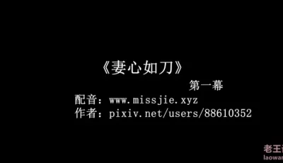 [自行打包] 妻心如刀1-2 [2v+1.24g][百度盘]