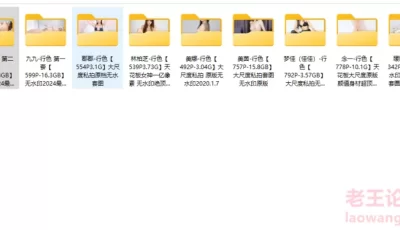 <b style='color: red;'>[已失效] </b>[自行打包] 【自行打包】国模整理系列第一弹行色无水印合集 [多P+71.5GB][百度盘]