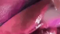 [转载搬运] 【重磅核弹】抖音颜值女神 九条南无 最新拜年福利淫语调教 [4V 7P+874M][百度盘]