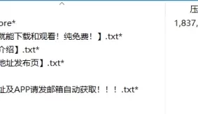 [自行打包] 武田弘光 爆乳妻子的派对 [8v+1.8g][百度盘]