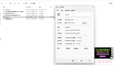 [自行打包] 日本胖婶子，肥得流油~~日本肥婆，很肥~ [1+5G][百度盘]