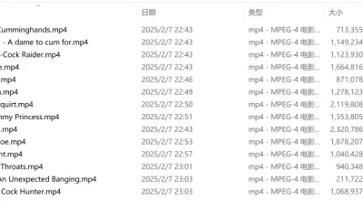 <b style='color: red;'>[已失效] </b>[转载搬运] Movie porn系列14部合集 [14V+16.9G][百度盘]