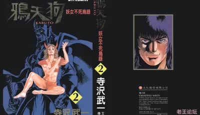 [自行打包] 寺沢武一的两部作品，四神风云录和女妖不死鸟录 [1+104M][百度盘]
