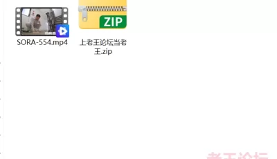 [自行打包] 洗腦協會●特別舉著一個溫和的閃光，每個人都抓住了小魔鬼，●邀請天堂和洗腦的地獄。 [1+6G][百度盘]