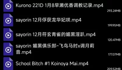 [自行打包] 自己收藏的mmd(四十一)--绝大多数是ntr [19v+10.42G][百度盘]