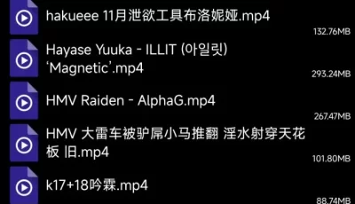 [自行打包] 自己收藏的mmd(四十三)--绝大多数是ntr [56v+12G][百度盘]