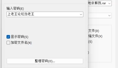 [自行打包] P站画师Greem Bang25年1月合集 [248P+2.24G][百度盘]
