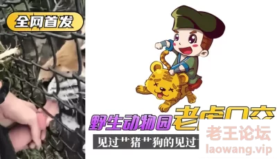 【全网首发】野生动物园“老虎口交”见过艹猪艹狗的，见过艹真老虎的吗？ [00:28]