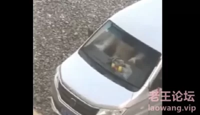 @20205145185 用户上传：光天化日搞车震以为人家看不到 [01:29]