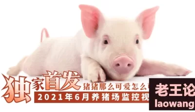 【独家首发】2021年6月养猪场监控视频流出！！！ [00:35]